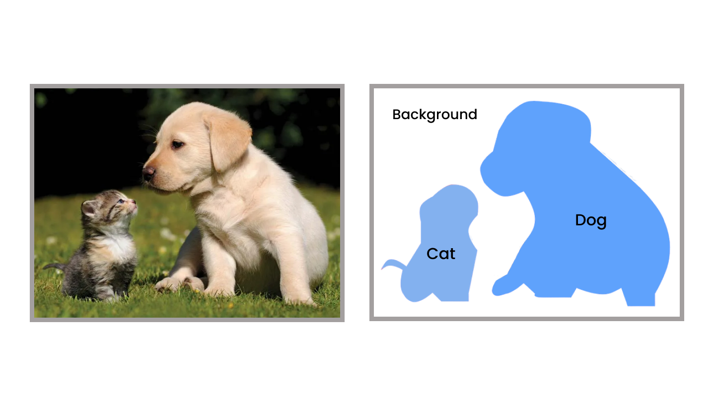 dog-cat-bg-image